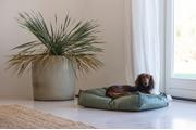 Designed by Lotte Nalino Hundemadrass - Grønn (51-704835-1500015462)