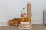 Designed by Lotte Aktiviseringsleke og Klorestativ til Katt - 47,5cm (51-409150)