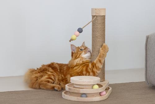 Designed by Lotte Aktiviseringsleke og Klorestativ til Katt - 47,5cm (51-409150)