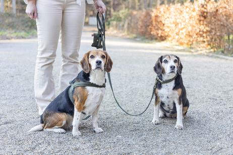 Designed by Lotte Velura Halsbånd, Grønn (51-747048)