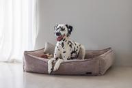 Designed by Lotte Hundeseng i Ribbestoff - Rosa (51-716165-1500018598)