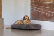 Designed by Lotte Hundemadrass i Ribbestoff - Brun (51-716117-1500019462)