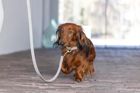 Designed by Lotte Velura Halsbånd, Grå (51-746990-1500046285)