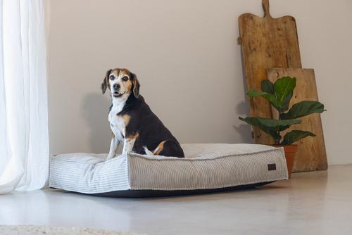 Designed by Lotte Hundemadrass i Ribbestoff - Grå (51-716112-1500012038)