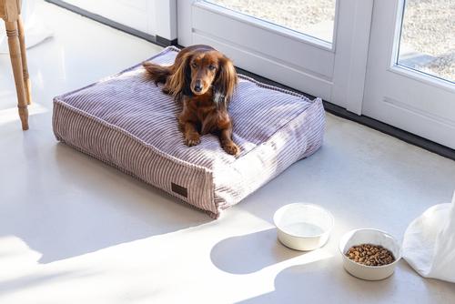 Designed by Lotte Hundemadrass i Ribbestoff - Rosa (51-716122-1500011652)