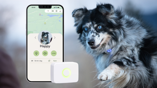 Lildog Lildog GPS og Aktivitetsmåler til Hund - Hvit (125-Lildog3000)