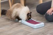 Cat Activity Rod Board Aktiviseringsleke til Katt - 35cm (126-45898)
