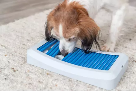 Dog Activity Rod Board Aktiviseringsleke til Hund - 35cm (126-32051)