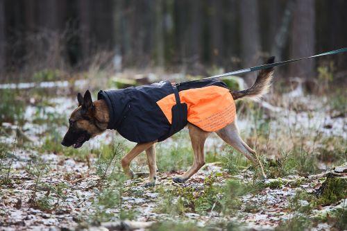 Non-stop Glacier Jacket 2.0 - Orange/ Svart  (44-32111)