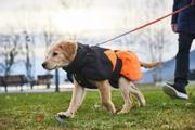 Non-stop Glacier Jacket 2.0 - Orange/ Svart  (44-32061)