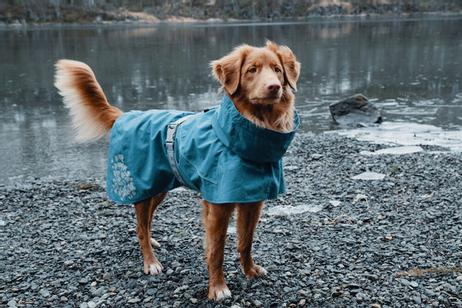Hurtta Monsoon Regndekken - Blå (16-H933664-1500098956)