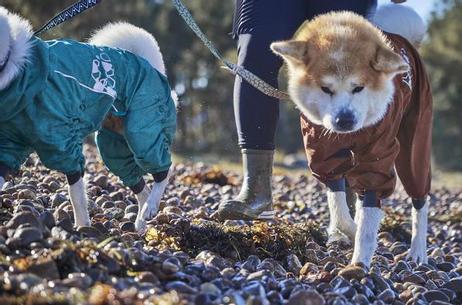 Hurtta Mudventure Overall Eco - Brun (16-H934156-1500016598)