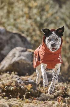 Hurtta Extreme Warmer Eco - Brun (16-H934212-1500041902)