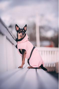 Paikka Visibility Regndekken - Rosa (120-1042038-1500026593)