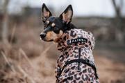 Paikka Visibility Regndekken - Leopard (120-1041009)