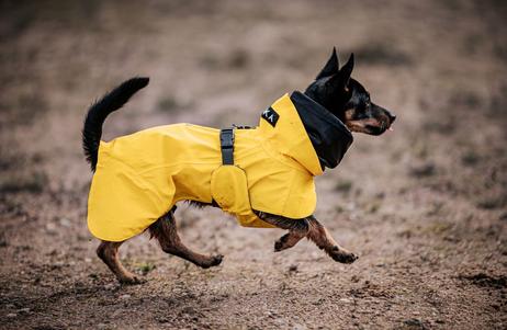 Paikka Visibility Regndekken - Gul (120-1044013)