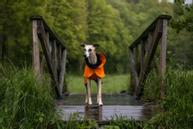 Paikka Recovery Regndekken - Orange (120-1043002)