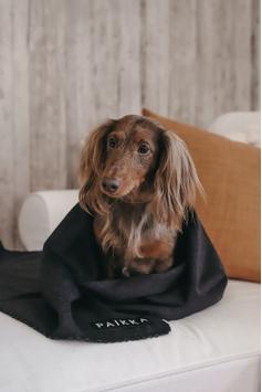 Paikka Recovery Teppe, Grå - 70x100cm (120-1028004)