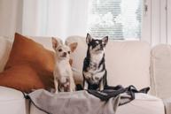 Paikka Recovery Teppe, Grå - 70x100cm (120-1028004)