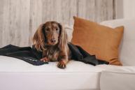 Paikka Recovery Teppe, Grå - 70x100cm (120-1028004)