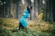 Paikka Visibility Regndekken - Emerald (120-1045065)