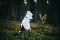 Paikka Visibility Regndekken - Emerald (120-1045058-1500018495)