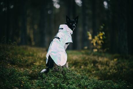 Paikka Visibility Regndekken - Emerald (120-1045058-1500018495)