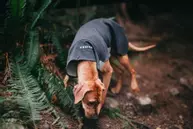 Paikka Recovery Woolmix Shirt - Grå (120-1048056)