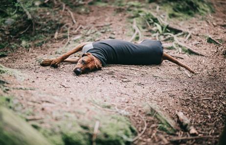 Paikka Recovery Woolmix Shirt - Grå (120-1048056)