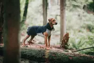 Paikka Recovery Woolmix Shirt - Grå (120-1048056)