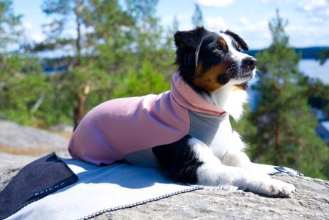 Paikka Recovery Woolmix Shirt - Rosa (120-1042011-1500015599)