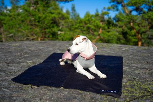 Paikka Recovery Woolmix Shirt - Rosa (120-1042014)