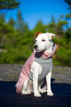 Paikka Recovery Winter Shirt - Rosa (120-1042011-1500015599)