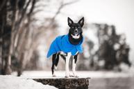 Paikka Visibility Varmedekken - Indigo (120-1046012-1500018264)