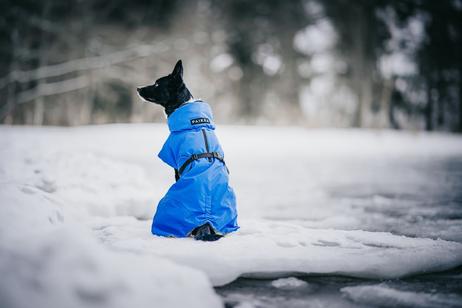 Paikka Visibility Varmedekken - Indigo (120-1046012-1500018264)