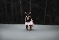 Paikka Visibility Varmedekken - Jungel (120-1042066-1500049666)