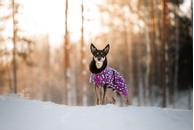 Paikka Visibility Varmedekken - Jungel (120-1042066-1500049666)