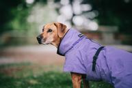 Paikka Visibility Varmedekken - Lilla (120-1047001-1500017150)