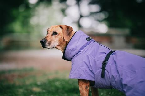 Paikka Visibility Varmedekken - Lilla (120-1047001-1500017150)