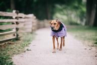 Paikka Visibility Varmedekken - Lilla (120-1047001-1500017150)