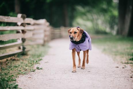 Paikka Visibility Varmedekken - Lilla (120-1047001-1500017150)