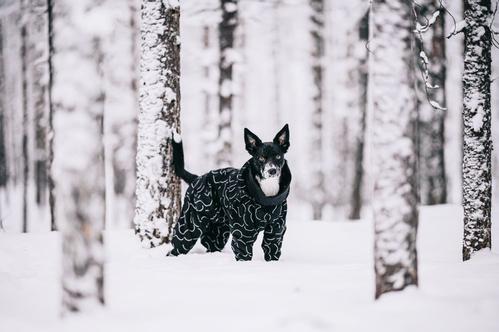 Paikka Winter Suit Varmedekken - Svart (120-1040026-1500012505)