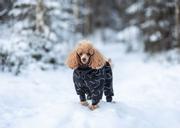 Paikka Winter Suit Varmedekken - Svart (120-1040026-1500012505)