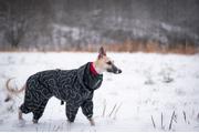 Paikka Winter Suit Varmedekken - Svart (120-1040026-1500012505)