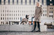 Paikka Visibility Regnjakke - Leopard (120-1091001-1500068521)
