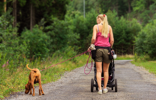 Hundelykkeline - Rosa (121-rosa3-1500066394)