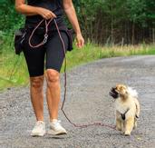 Hundelykkeline - Vinrød (121-Vinrod3-1500096869)