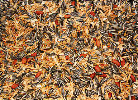 Bello Villfuglblanding Standard - 5kg (18-400.0088)