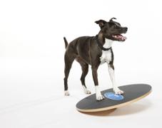  FitPAWS Wobble Board - 50cm