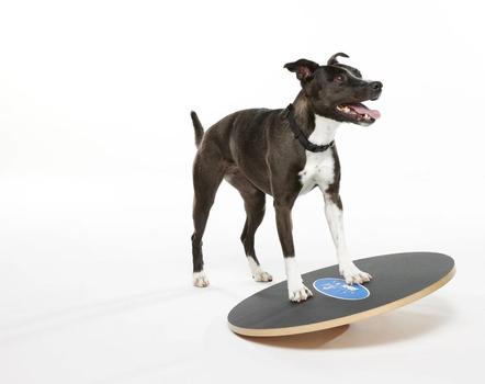 FitPAWS Wobble Board - 50cm (112-279898)